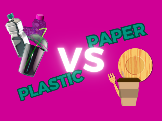 Plastic vs. Paper: Sustainable Packaging Under the Investigative Lens